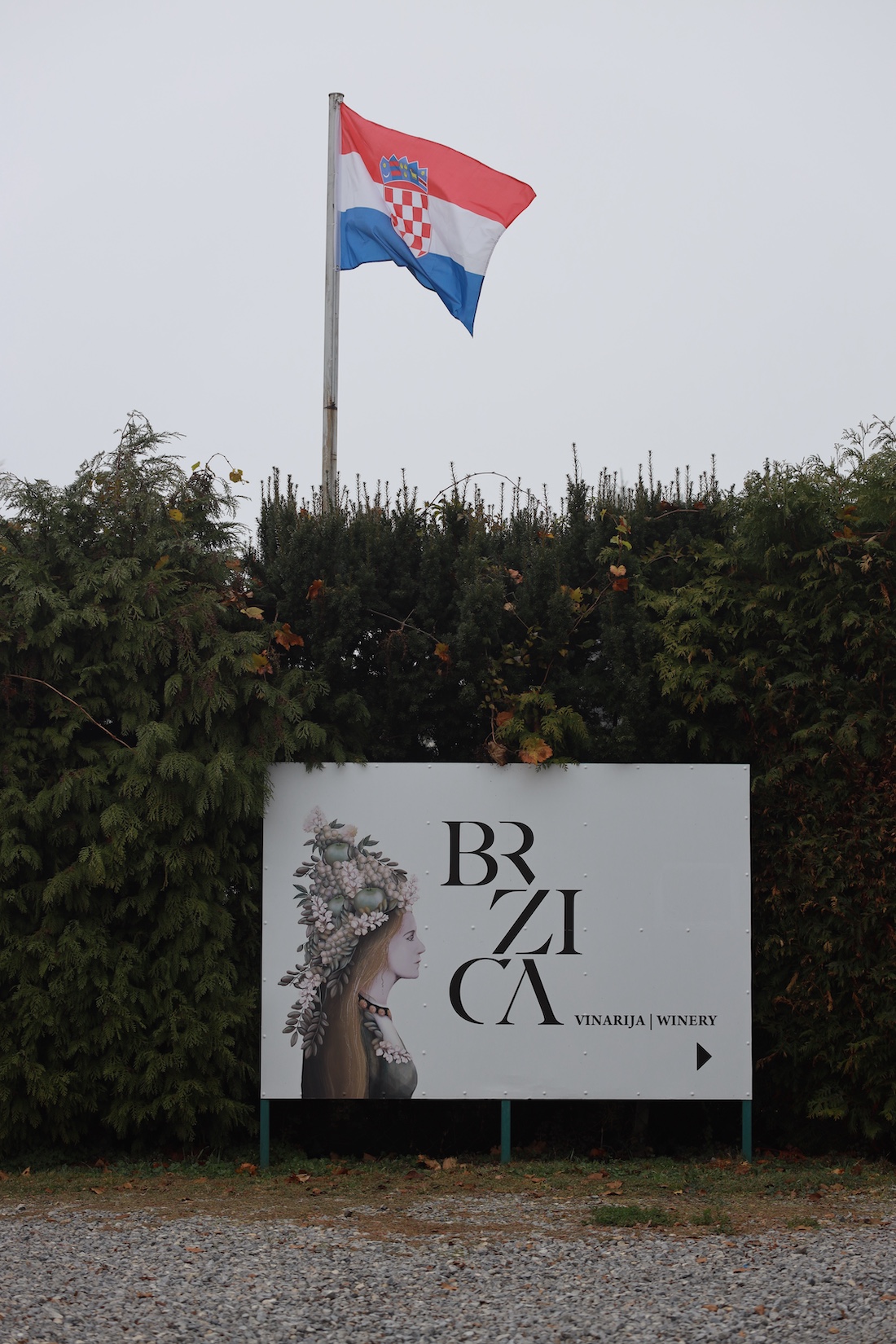 2S8A8380
