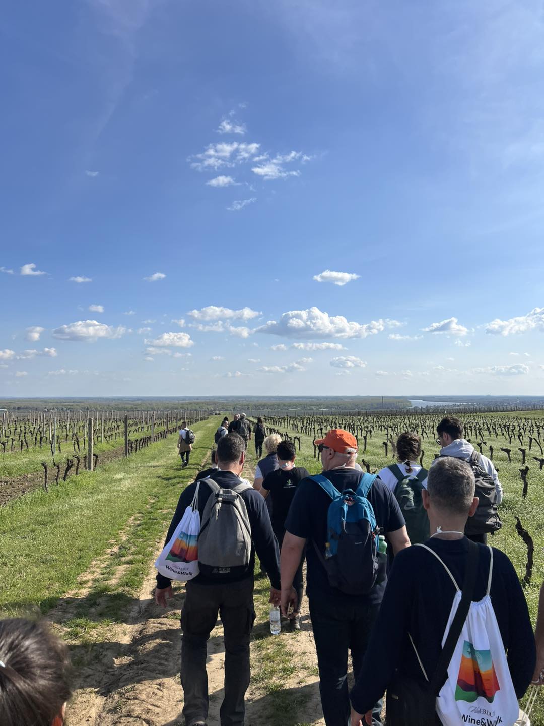 1. Vinogradi I Dunav