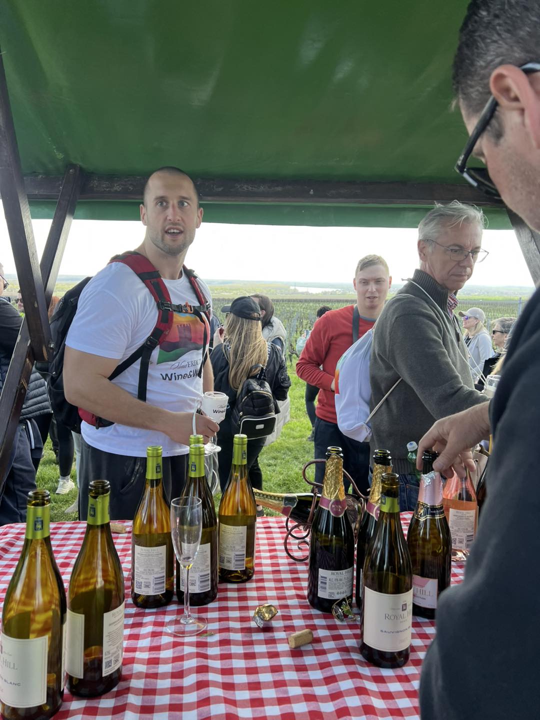 15. Royal Hill I Vinogradi