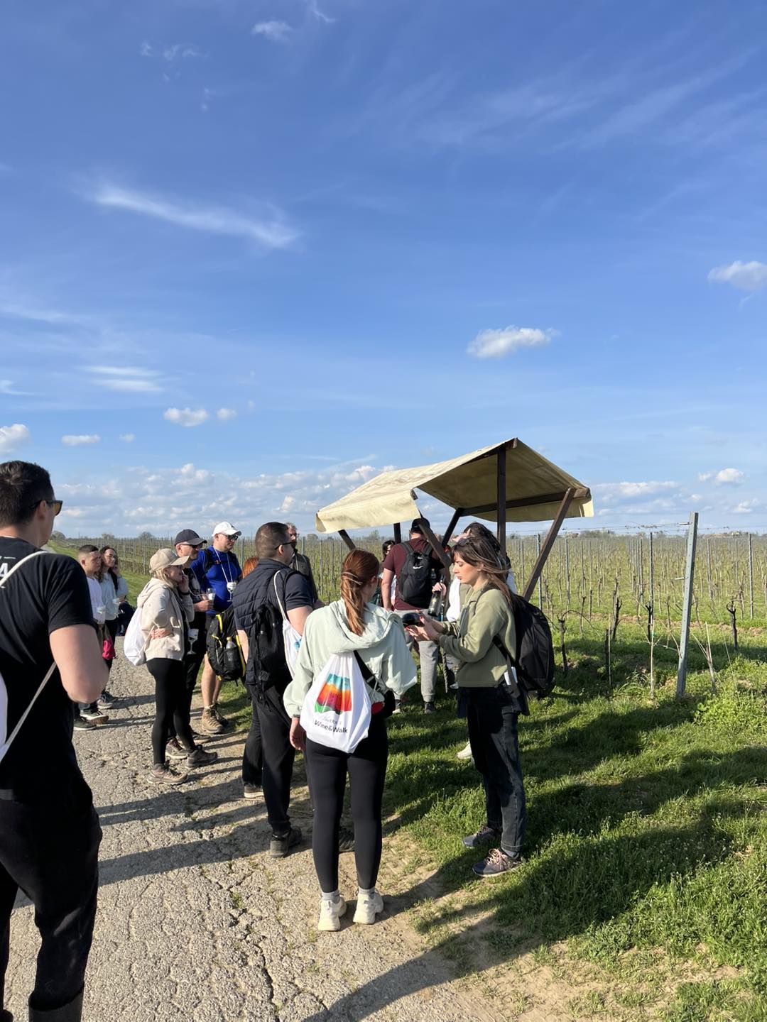 17. Stand U Vinogradu