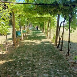 Izlozba Slika U Klanteru